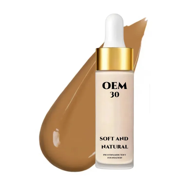 Pembekal Yayasan Liquid High-Coverage|ISO 22716 Pengeluaran Bersertifikat